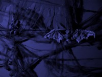 Wallpaper: Fledermaus Hintergrund in dunklem blau